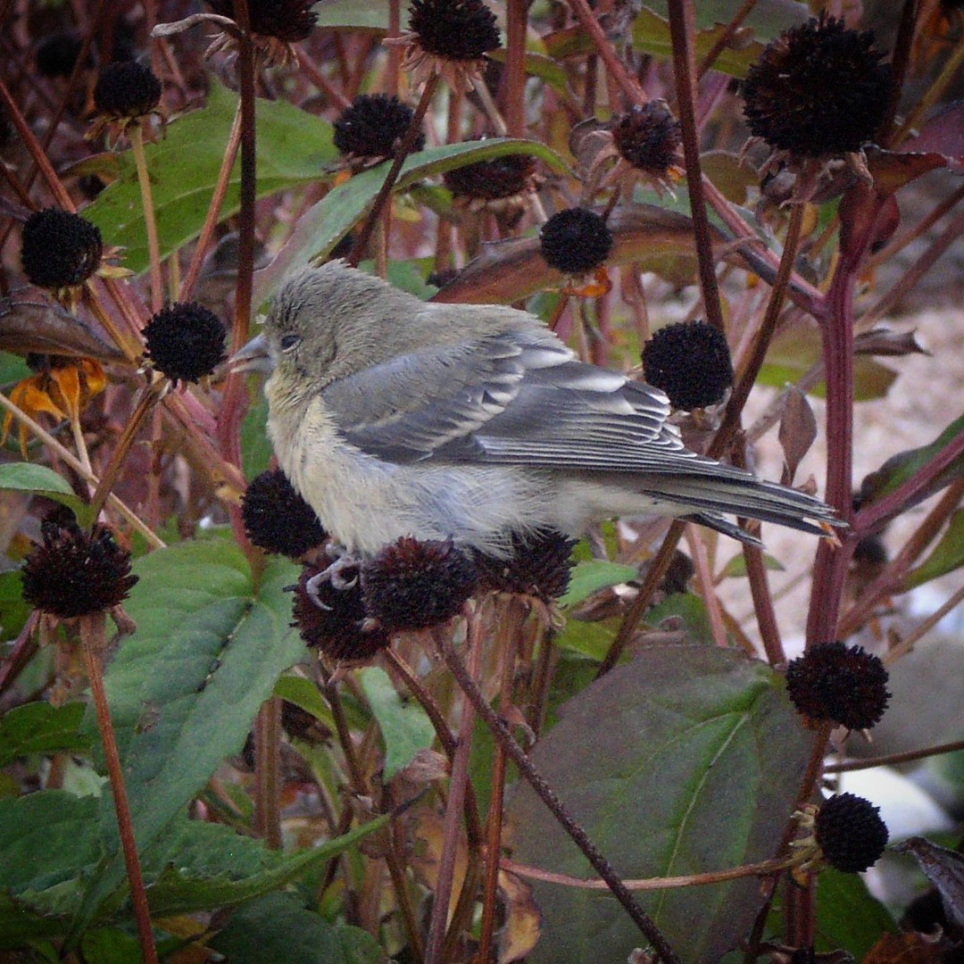 Thank You for a Great Fall Season!