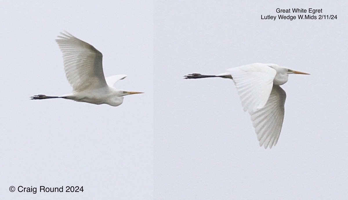 Craig Round tweet media