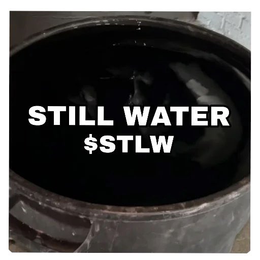 A423W's tweet photo. @itstylersays The breakout will be glorious! Grab your bags before the moonshot! 😎  $STLW https://t.co/kCBfCkhLLZ