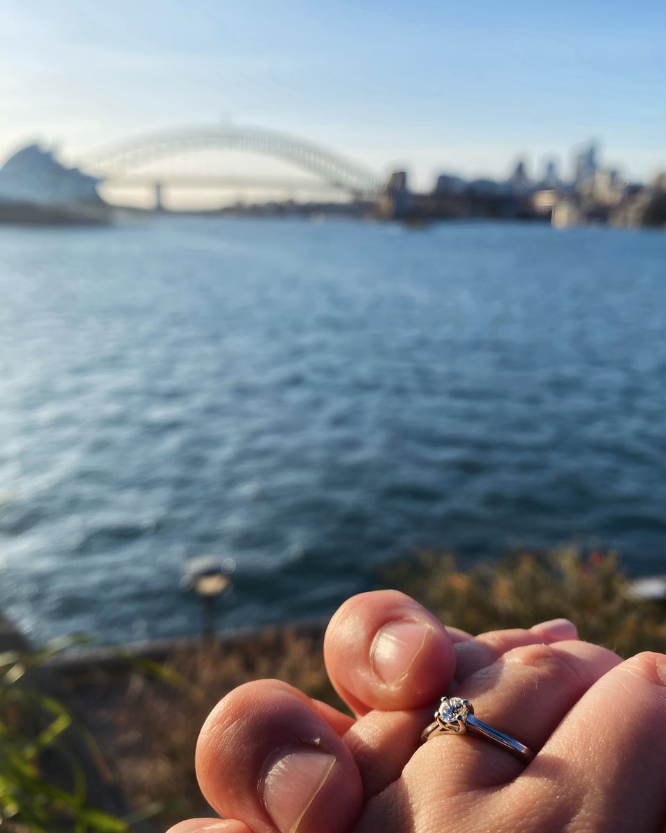 Anna Melville tweet media