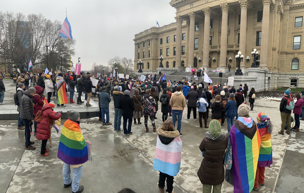 Scott Rollans tweet media