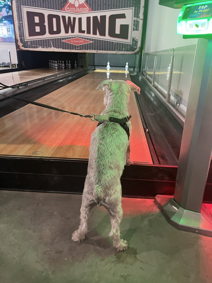 Enjoyed a rainy morning at the harbor. Bought some seafood dockside, checked out the fishing boats, had breakfast &amp; went duck pin bowling. The only other time I did that was in Maryland