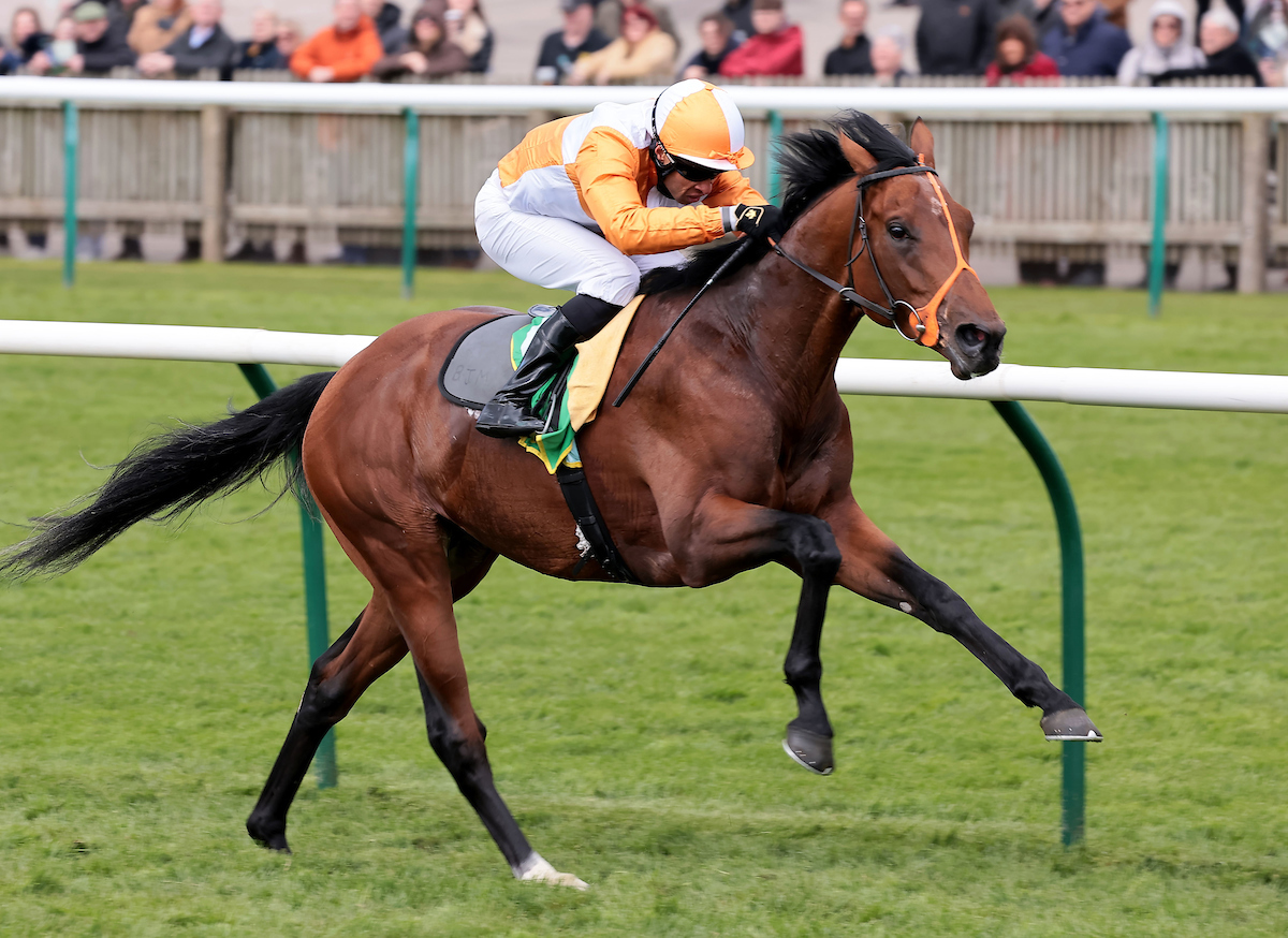 Racing TV tweet media