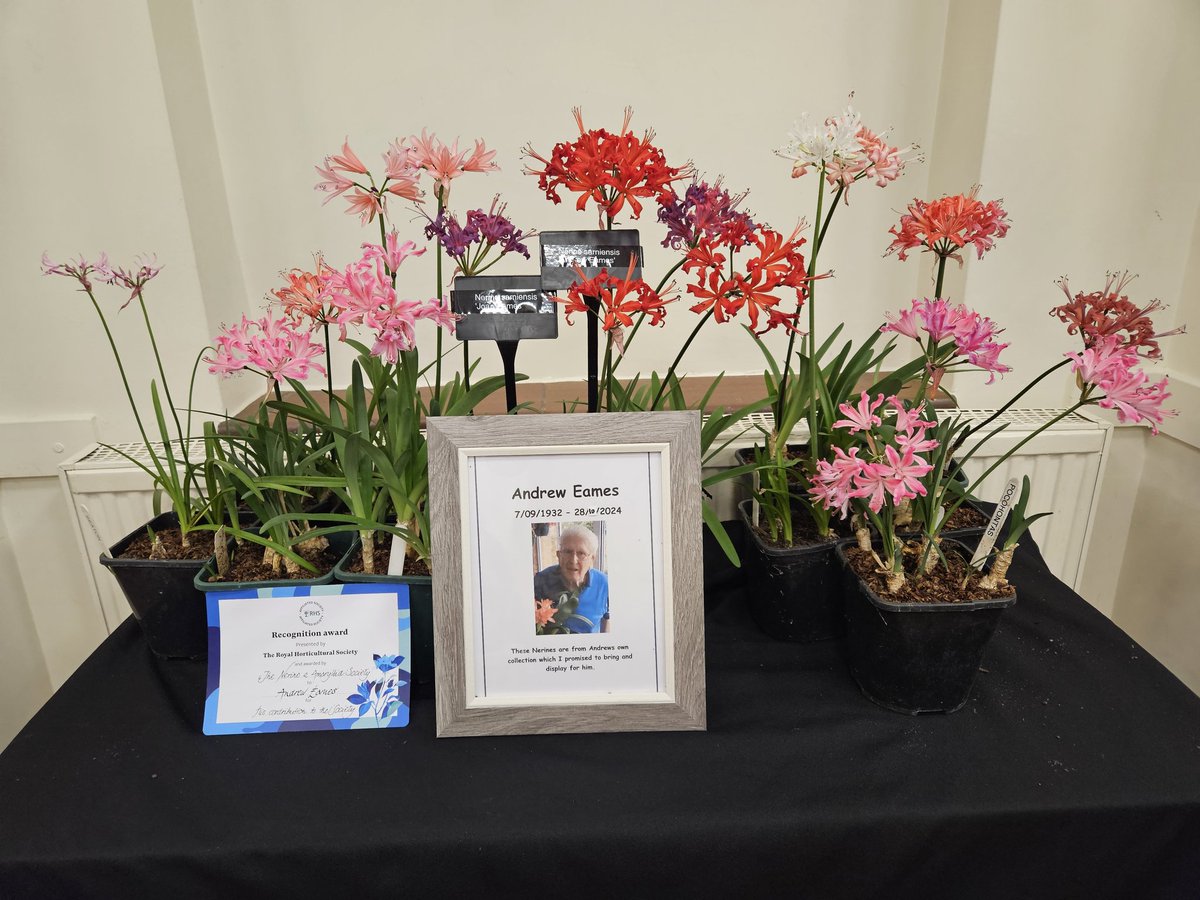 AGM &amp; lecture day of Nerine and Amaryllid Society today.  
Fabulous Nerine sarniensis array from <a href="/exburygardens/">Exbury Gardens & Steam Railway</a>. 
Beauty contests for amaryllids and nerines. Joint winners Jonny &amp; Steve. 
We remembered former chairman and well-respected member Andrew Eames.