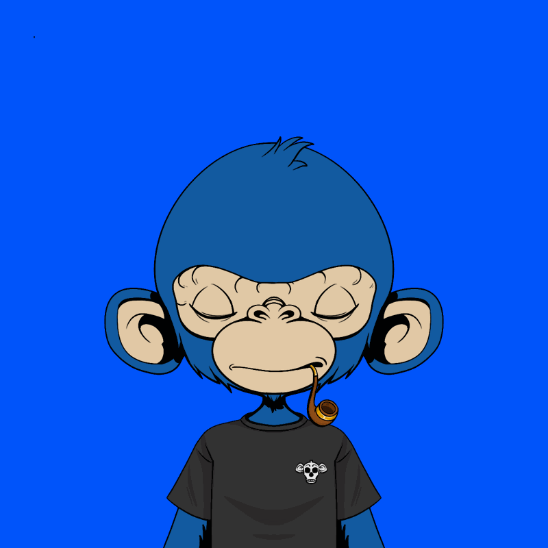 TimmyApes's tweet photo. GNimmy 😴 https://t.co/sUbmQLOs6f