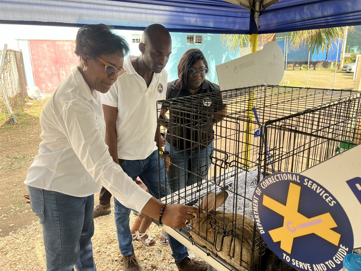 mnsgovjm's tweet photo. Permanent Secretary in the Ministry of National Security, Ambassador Alison Stone Roofe, was impressed by the exceptional showcase of the Department of Correctional Services (DCS) at the DCS Expo and Recruitment Drive.

Here are the #Highlights. https://t.co/Marea1JuXy
