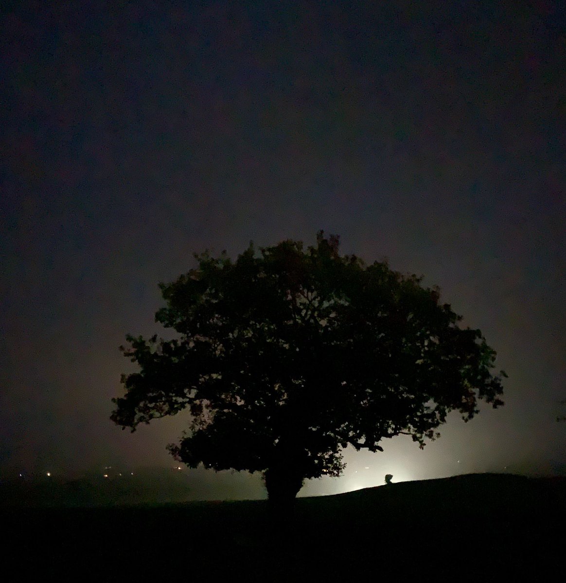 David Austin (@davidaustin2012) on Twitter photo 