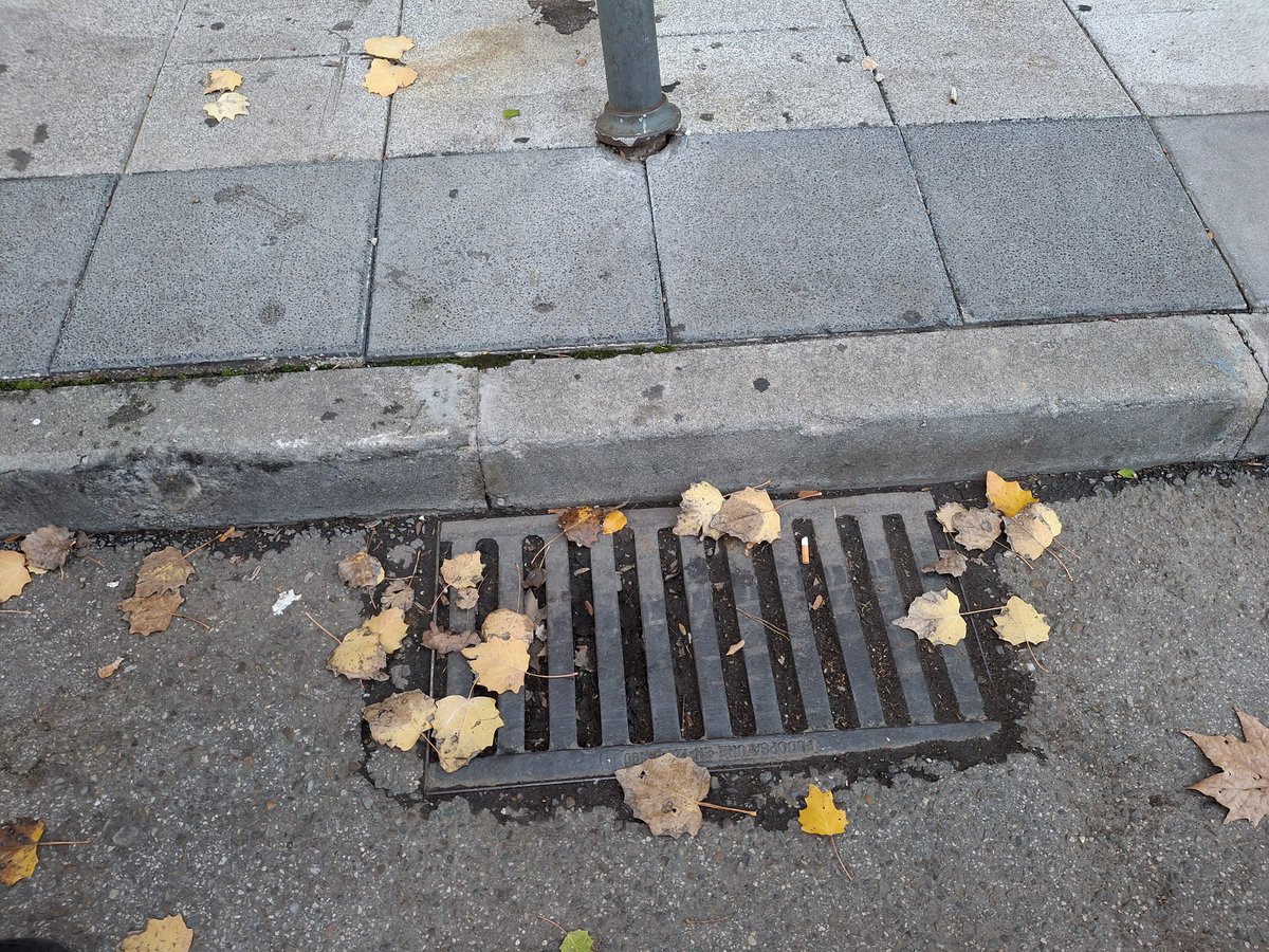 maibaju's tweet photo. @ayto3cantos pongo en vuestro conocimiento que el estado de algunas de las alcantarillas de Tres Cantos es deficiente por estar totalmente bloqueadas de tierra. Adjunto un ejemplo de Sector Músicos, 21, en la puerta del Ahorramas. Estos detalles son los que marcan la diferencia https://t.co/yDqPiEha7I