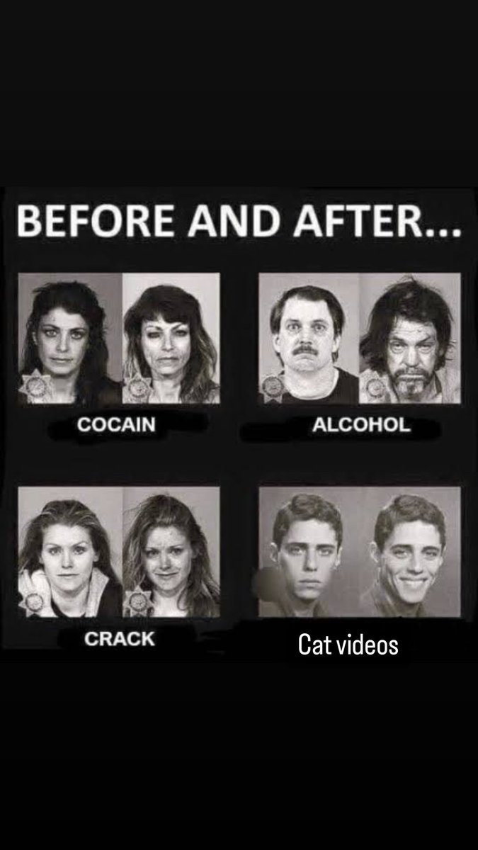 NoCatsNoLife_m's tweet image. Before and after