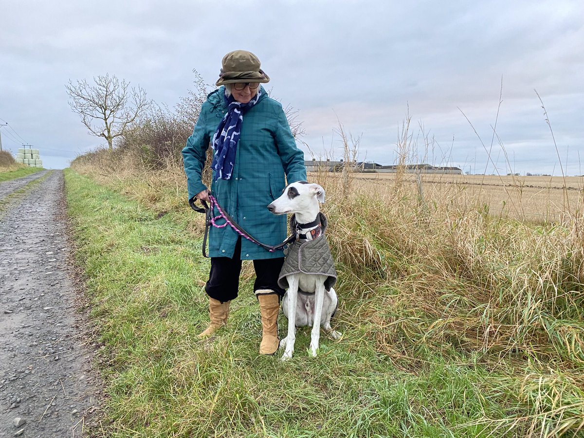 Angel Poppet🌈 Angel Bertie Race🌈 tweet media