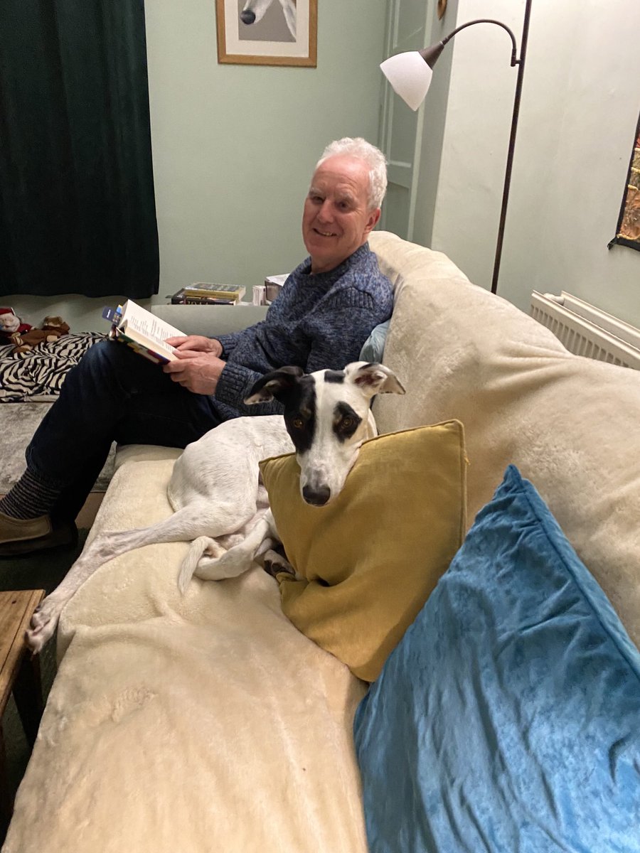 Angel Poppet🌈 Angel Bertie Race🌈 tweet media