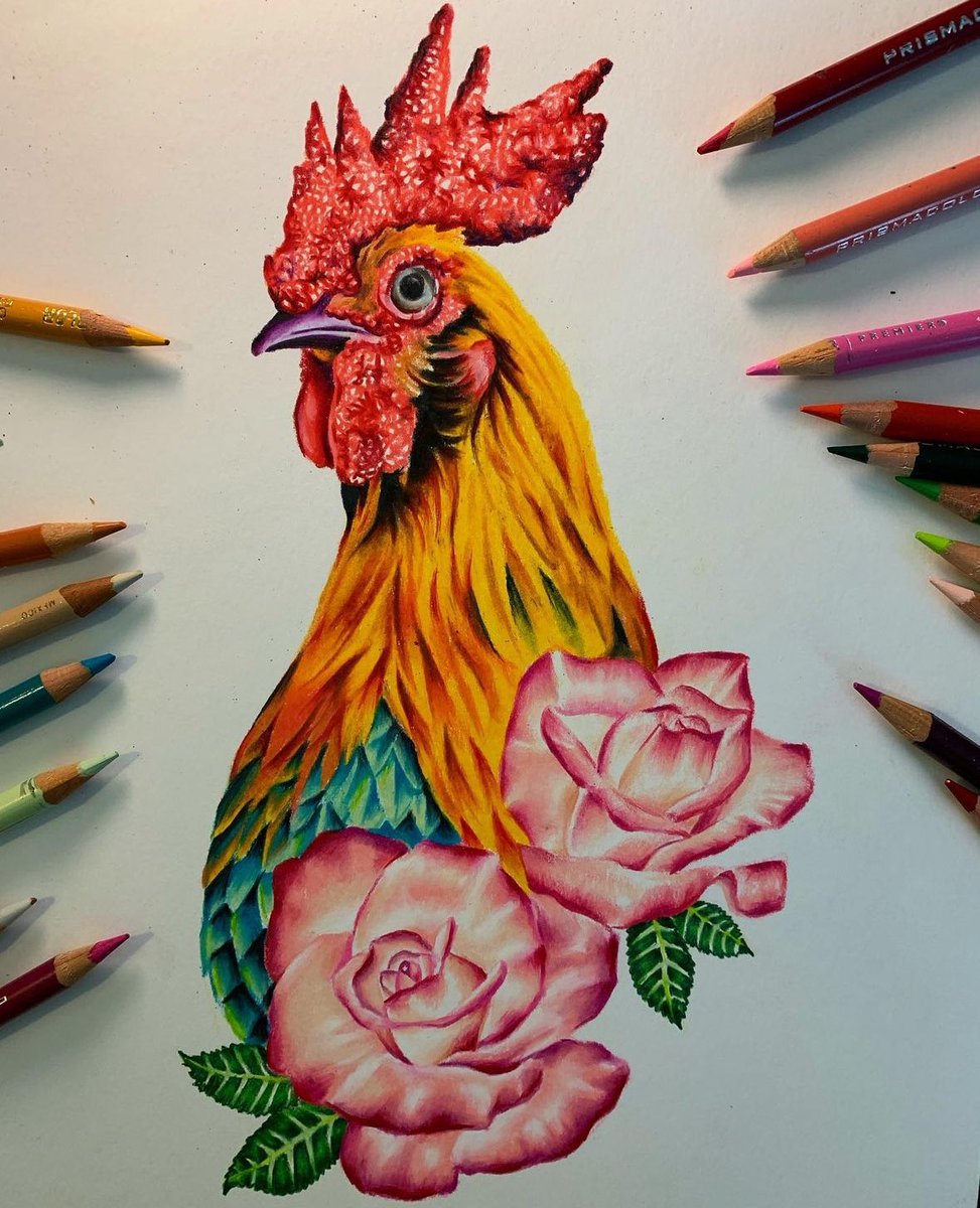 portablebone's tweet photo. #rooster #farmanimal #prismacolor #nft https://t.co/ag2kkh9mE1