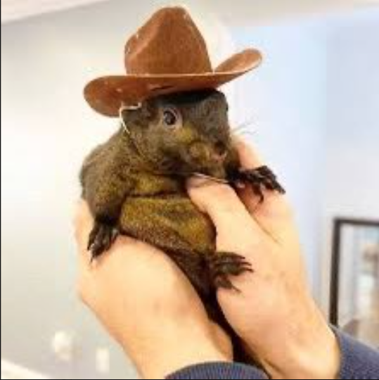 Think Harder tweet media