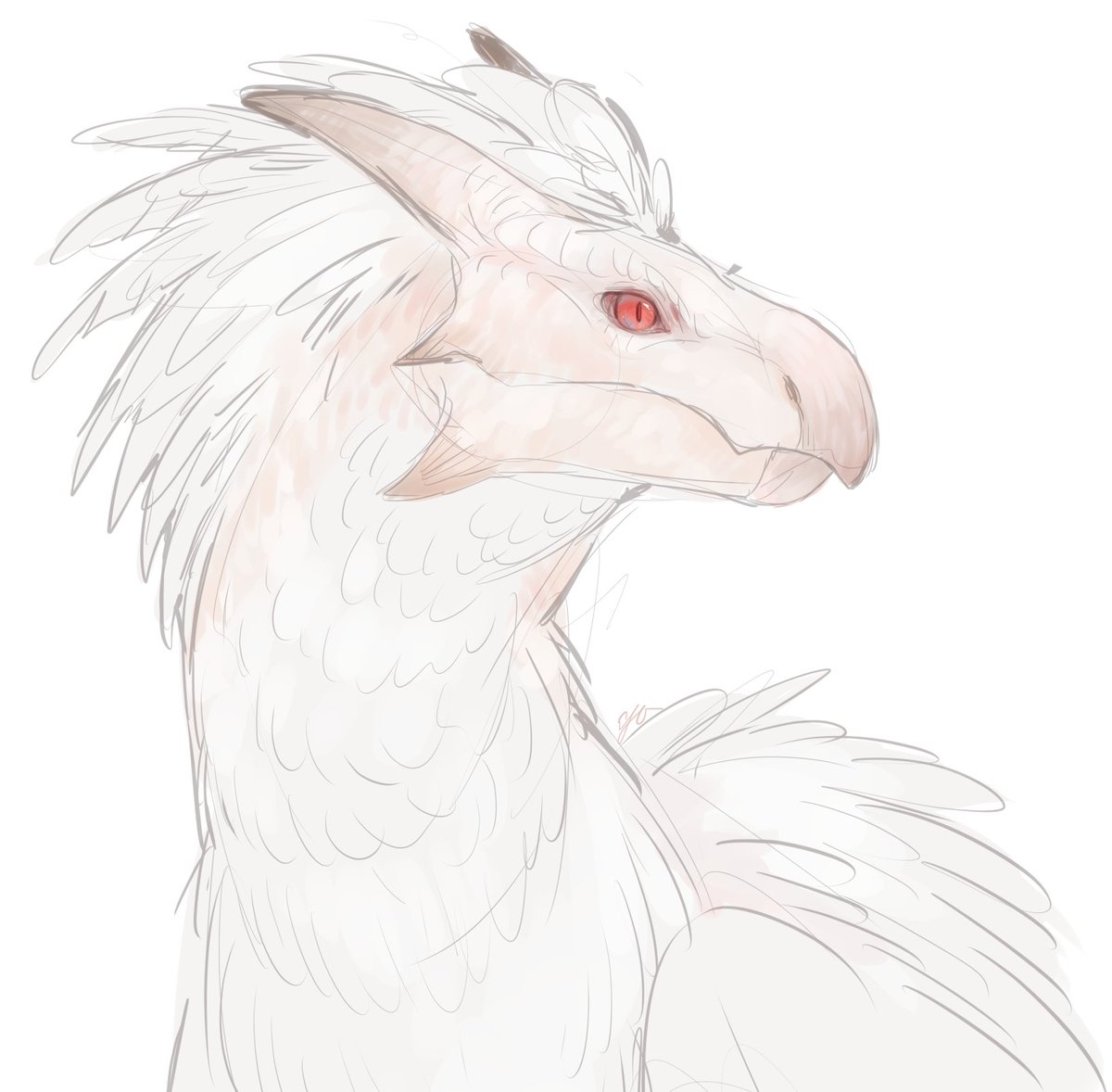 Cloud_yaa's tweet image. albino seikret owo