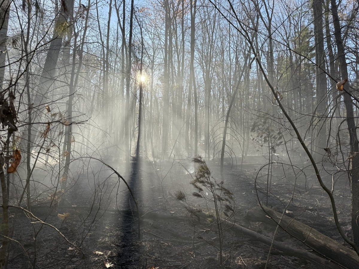 A nice picture but not the way we want to spend our days. Please remember no open burning of any type. Our members have been in the woods almost everyday for a week and the crews need a break. This dangerous weather looks like it going to continue for the next week.