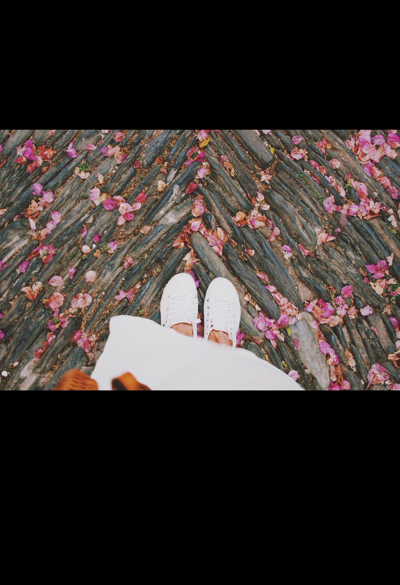 من أقرب الآيات لقلبي قوله تعالى : (هو الذي جعل لكم الأرض ذلولا فامشوا في مناكبها وكلوا من رزقه وإليه النشور) 
ربي سهل وسخر لنا أكبر مخلوقاته (الأرض) وطلب منا السعي والحركة والبحث (فامشوا ) وسيتحقق لنا المقابل (الرزق) وكلنا سنرجع إلى الله بعد رحلة الحياة