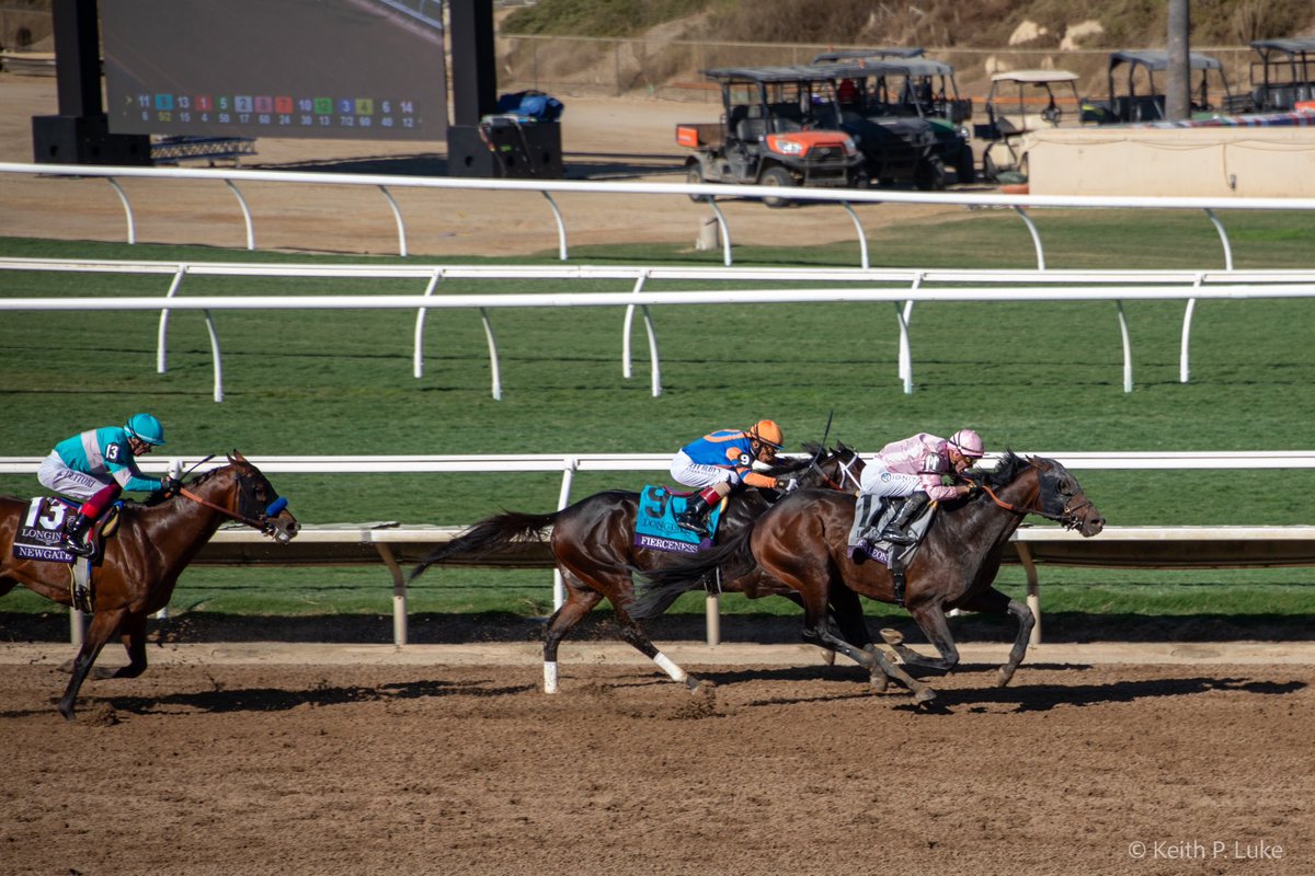 GriffinClubMerv's tweet image. Today is the day Sierra Leone answers all the questions for Chad Brown, Flavien Prat and Peter Brant. @BreedersCup #BC24 #BreedersCup #BCClassic
