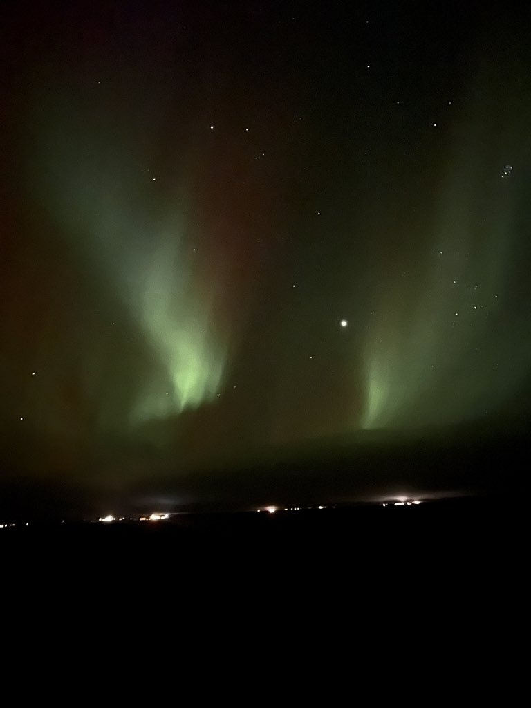 charlottevowden's tweet photo. The stars aren’t the only ones making an appearance tonight https://t.co/3YZCOZwBnr