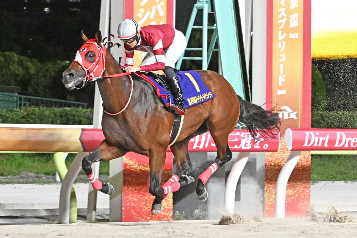 yziILGbmUA4yYK8's tweet image. ●BCクラシック(2024年)
🥇🇺🇸シエラレオーネ
🥈🇺🇸フィアースネス
🥉🇯🇵フォーエバーヤング

蓋を開けると、2024年のケンタッキーダービー組で決着！

ケンタッキーダービーは
シエラレオーネが🥈
フィアースネスが15着
フォーエバーヤング🥉
#BCクラシック
#シエラレオーネ
#フォーエバーヤング
