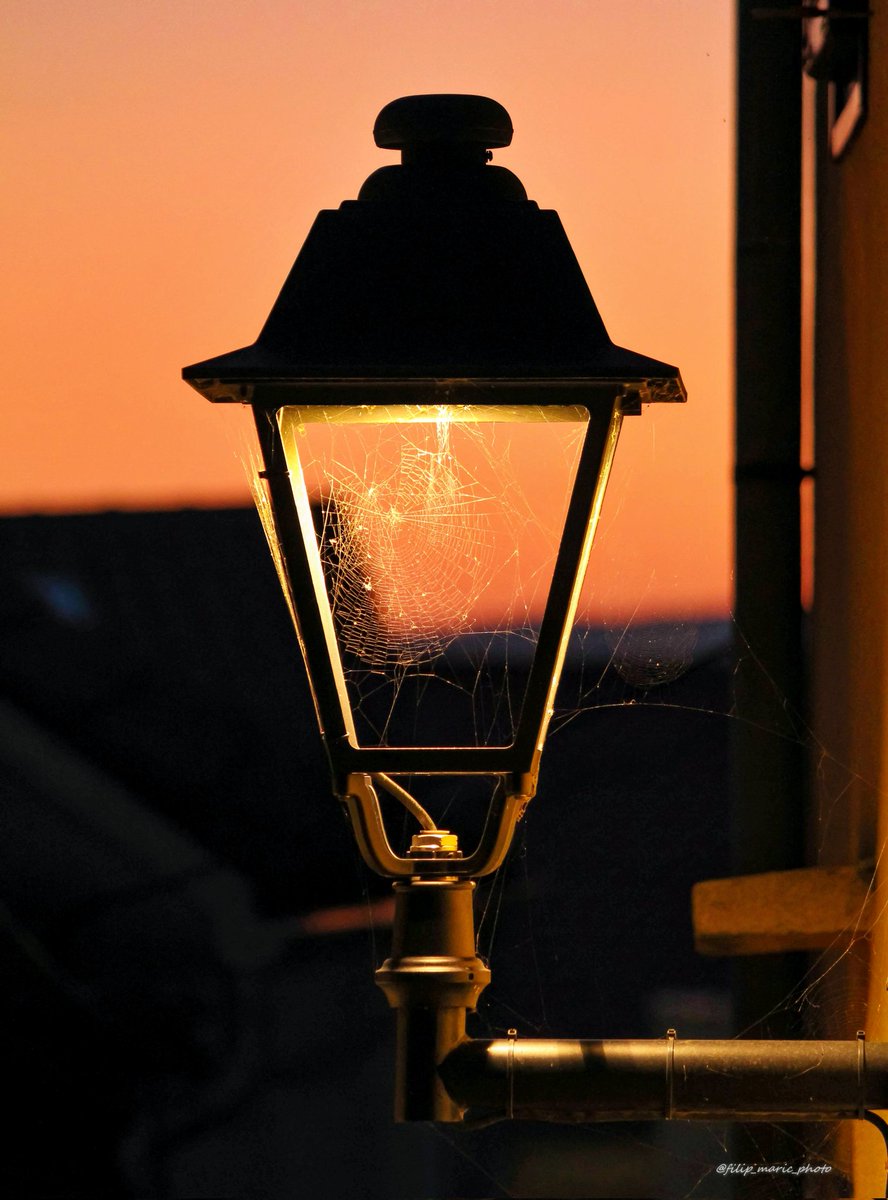 ddsfiume (@ddsfiume1) on Twitter photo 