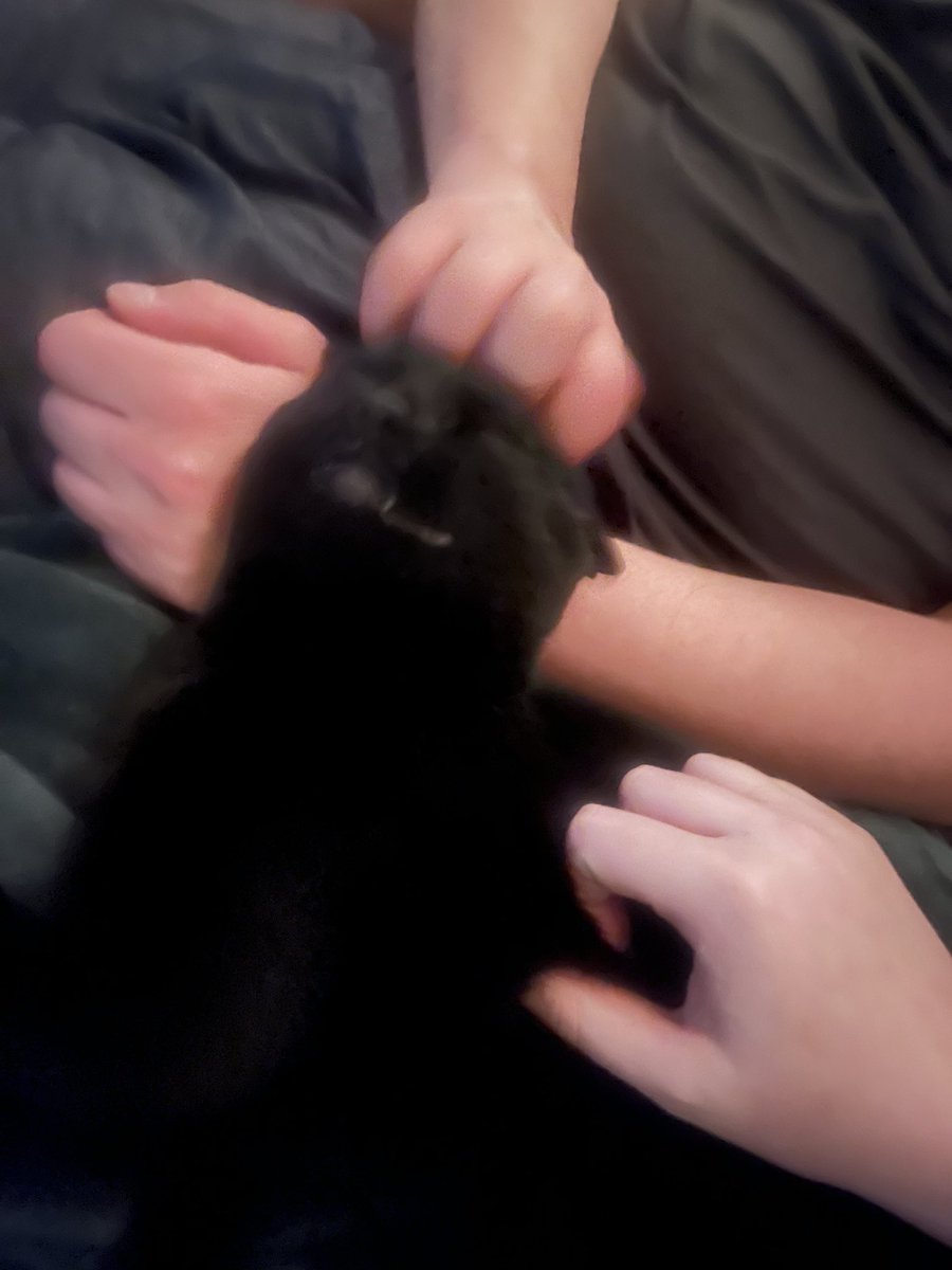 peepeehotdog's tweet photo. would you believe me if i told you she used to be feral https://t.co/3yU4jYCY3M