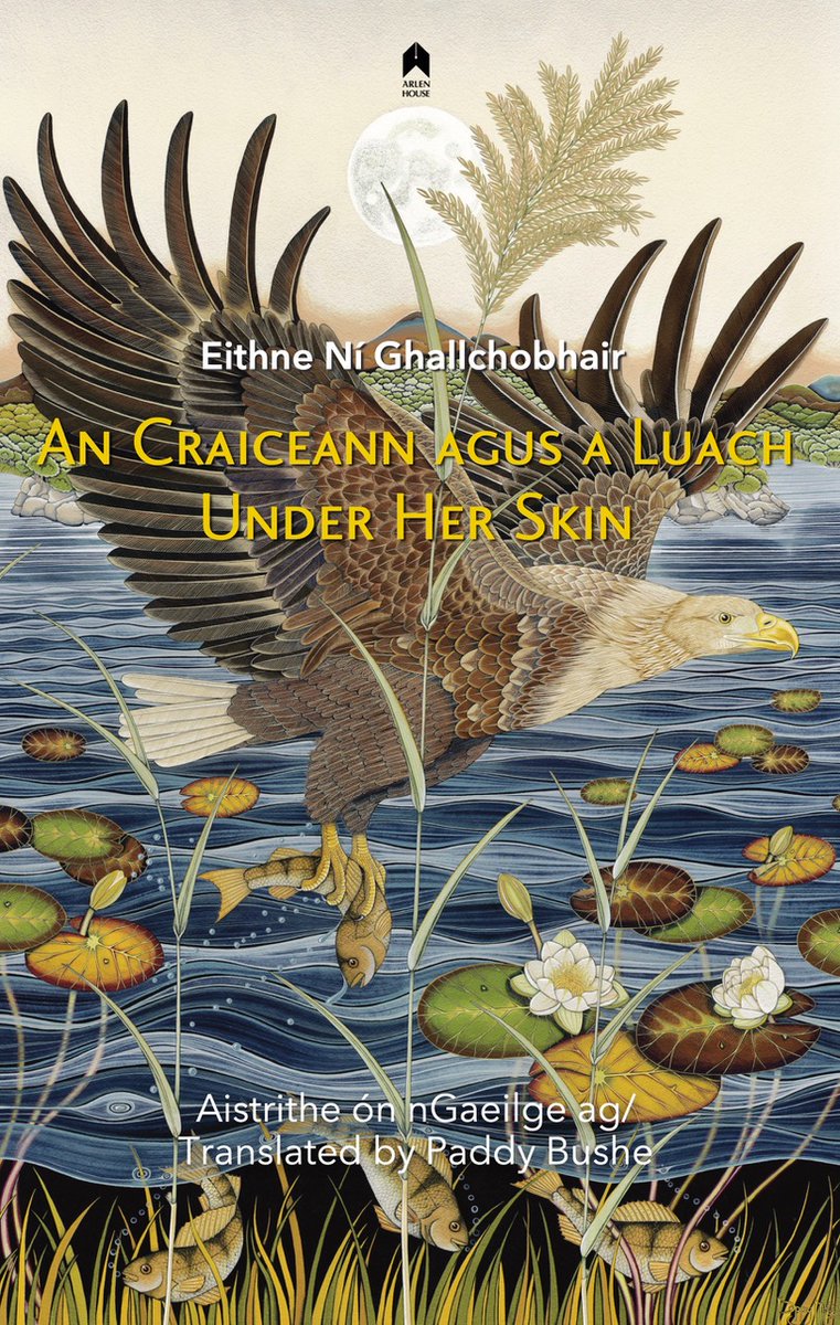 Please join Eithne Ní Ghallchobhair for a performance of "An Craiceann agus a Luach" with guest musicians Steve Cooney, Cormac Breathnach, Billy Mag Fhloinn, Robbie Perry, Dermot Byrne &amp; Odhrán Ó Casaide

Smock Alley 13 November
An Craiceann agus A Luach (ticketsolve.com)