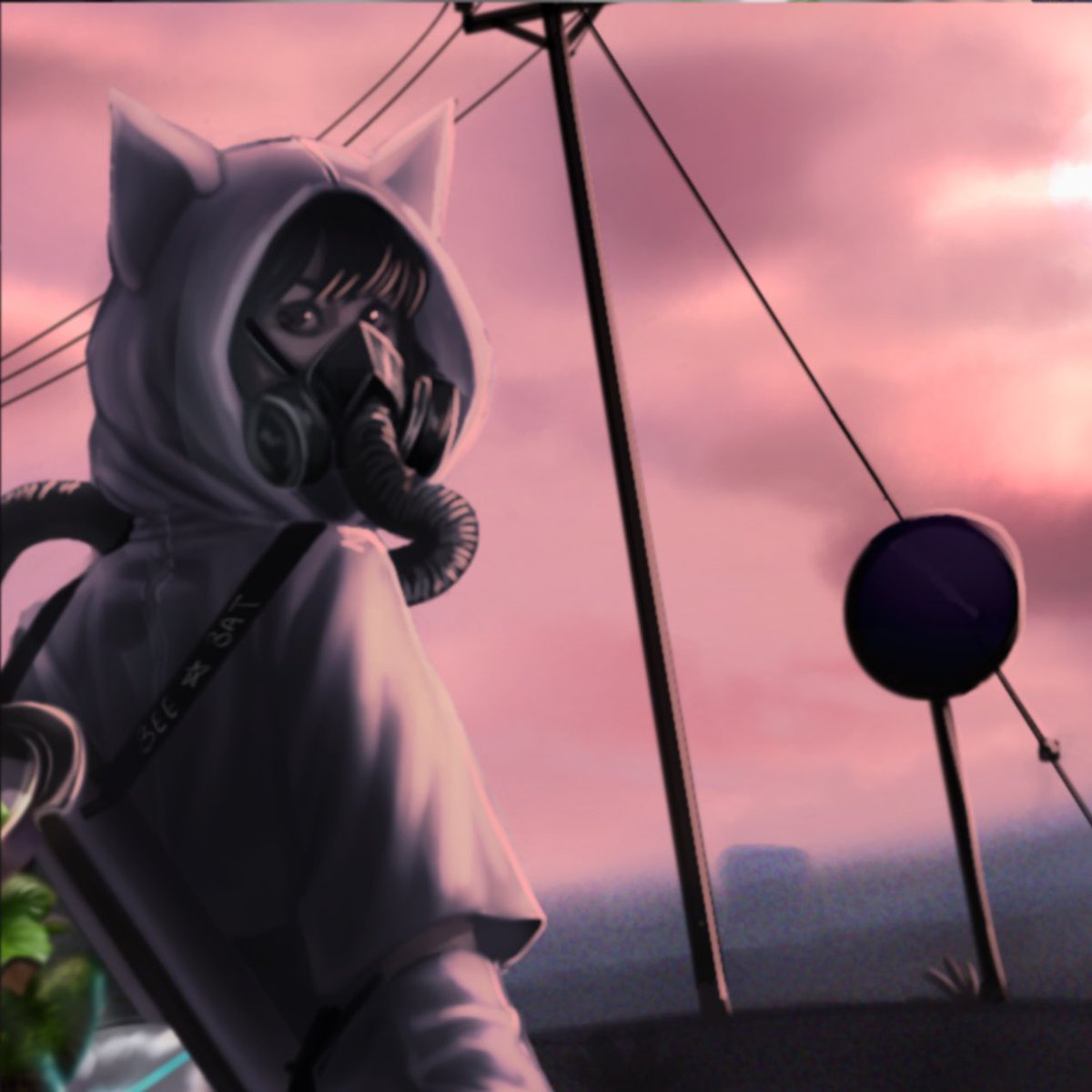 Bee☆Bat tweet media