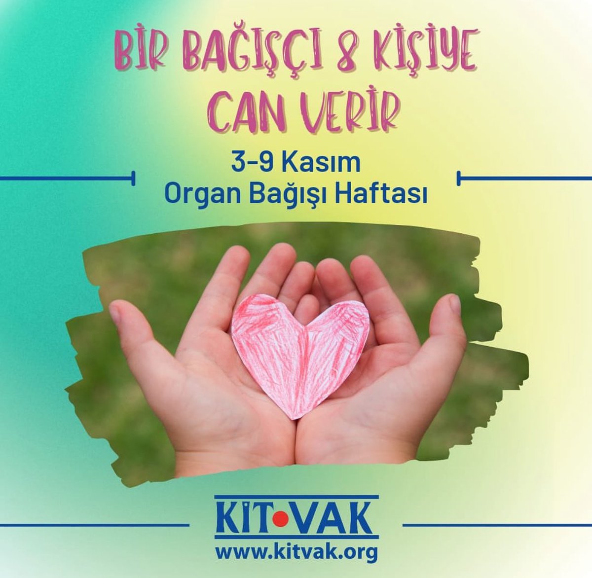 KİTVAK tweet media