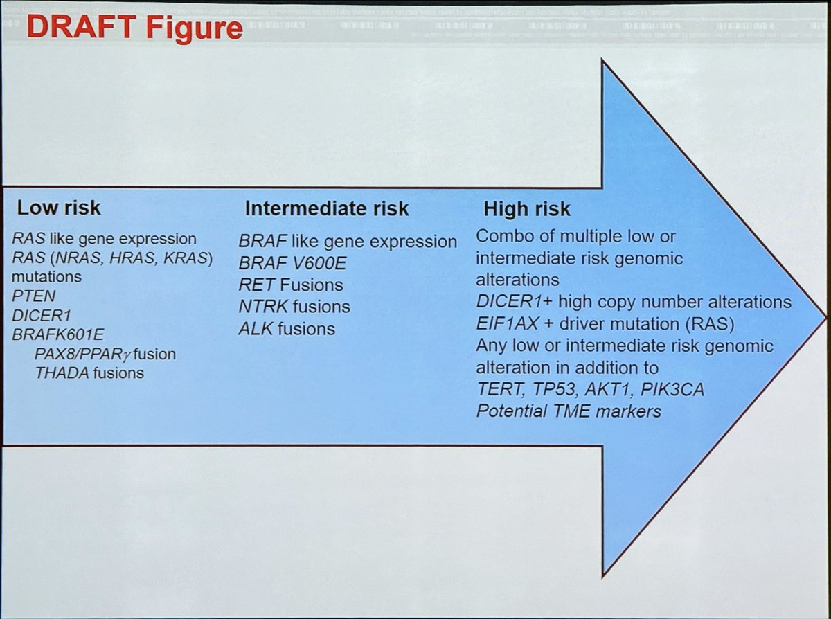 Xiaoyin "Sara" Jiang, MD (She/Her) (@sara_jiang) on Twitter photo Molecular testing is a busy area under construction for the guidelines group! #2024ATA #AmericanThyroidAssociation <a href="/Jasosamd/">Julie A Sosa, MD</a> <a href="/AmThyroidAssn/">American Thyroid Association</a> Molecular testing is a busy area under construction for the guidelines group! #2024ATA #AmericanThyroidAssociation <a href="/Jasosamd/">Julie A Sosa, MD</a> <a href="/AmThyroidAssn/">American Thyroid Association</a>