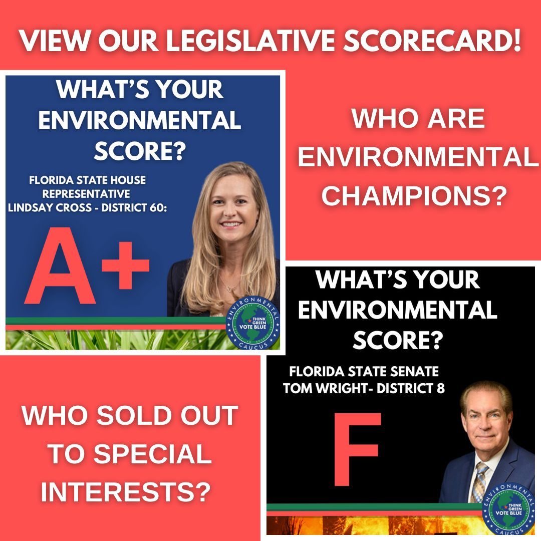 Democratic Environmental Caucus of Florida tweet media