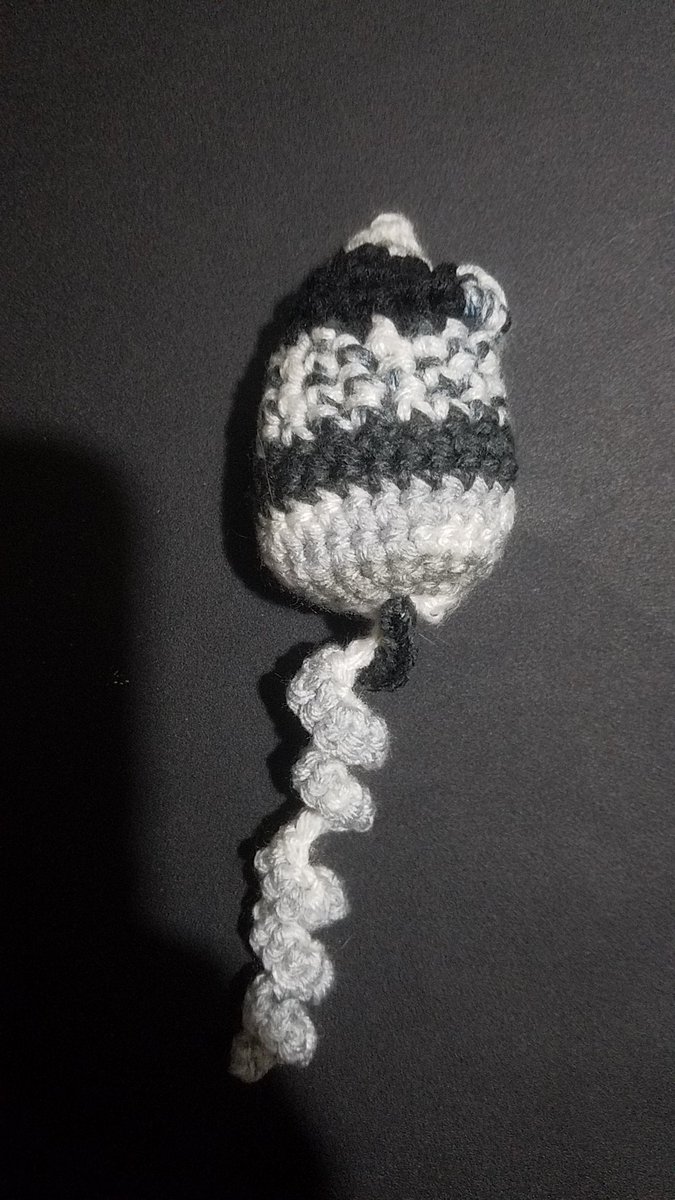 MamaN33k's tweet photo. I made something new &amp; it's so adorable &amp; cat approved. I made it as an extra for an order someone asked for. Hope you have a wonderful day, night, whatever. 
#gofundme #chronicillness #chronicpain #gastroparesis #littlevictories #crochet #cat https://t.co/BFEWdcLs3j