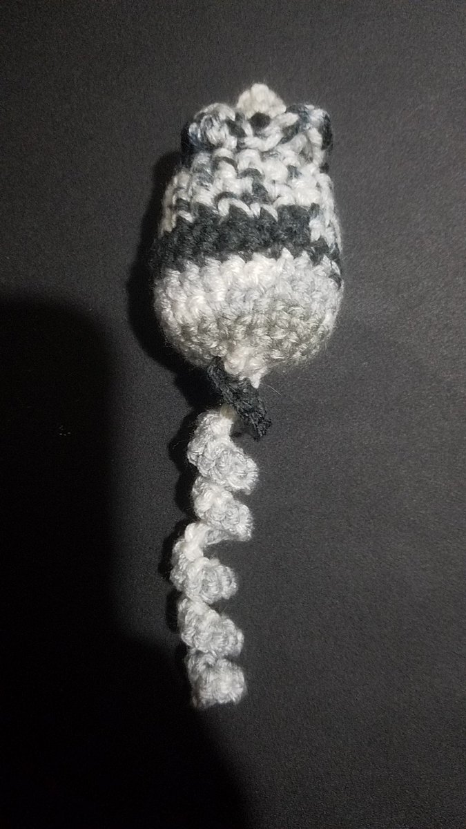 MamaN33k's tweet photo. I made something new &amp; it's so adorable &amp; cat approved. I made it as an extra for an order someone asked for. Hope you have a wonderful day, night, whatever. 
#gofundme #chronicillness #chronicpain #gastroparesis #littlevictories #crochet #cat https://t.co/BFEWdcLs3j