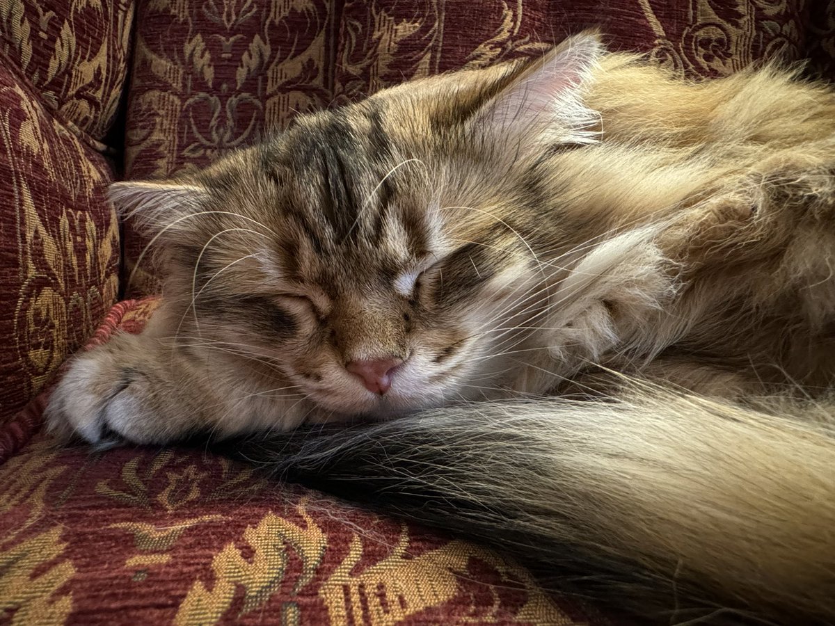 Kate Prior tweet media