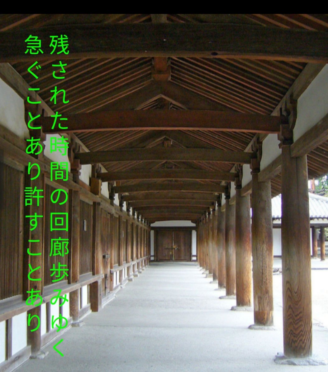 〈晩秋五首①〉
残された時間(とき)の回廊歩みゆく急ぐことあり許すことあり
#Tanka #短歌