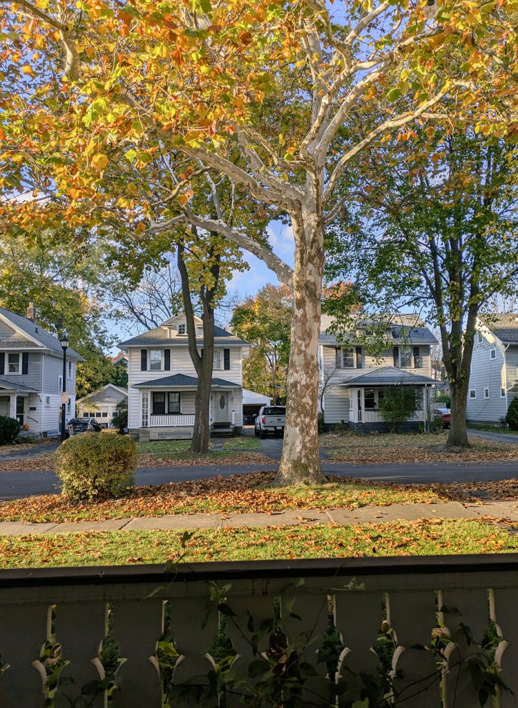 Beth Larter tweet media