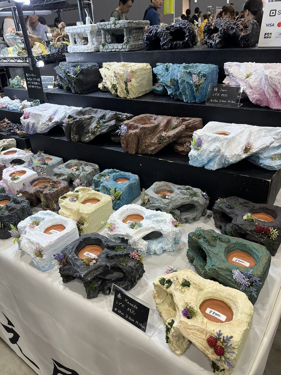 九レプ、ともえ屋さん<a href="/Iy0aAILRggs1XgM/">ともえ屋【爬虫類用品制作】</a> のブース。
素晴らしい作品が並んでた。
特にフルレイアウトの作品凄かった。
今日は天気も良さそうだし、お客さんも多そうだ❗️