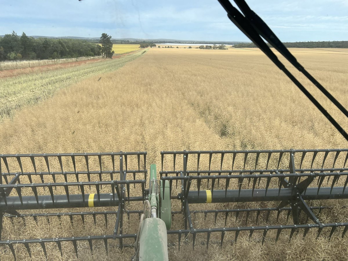 Barry Haskins tweet media