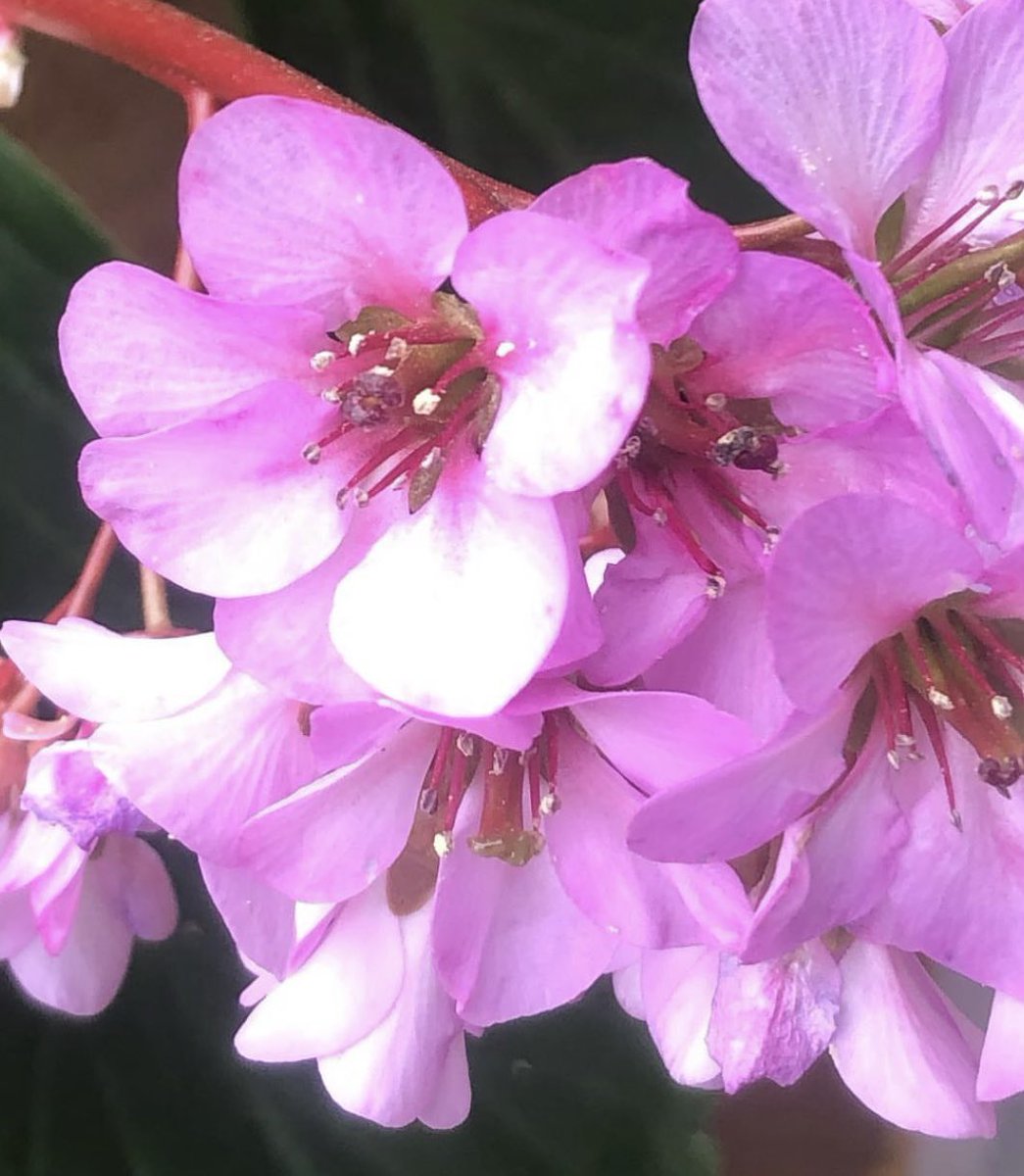 Dolor profund per @València ❤️