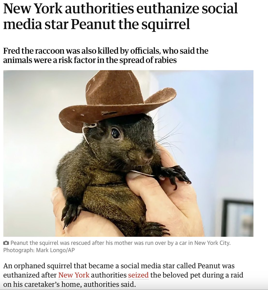 EL MAGO tweet media