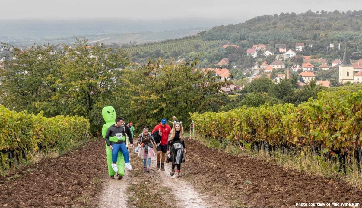 Gergely Somogyi tweet media