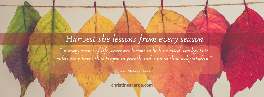 It's November, the end of autumn, with winter in sight. What can we learn in this season? Reflect with me on letting go, embracing change, connecting, resting and preparing for winter.

#November #autumn #seasons #lessons 

christinesharpe.com/2024/11/02/emb…