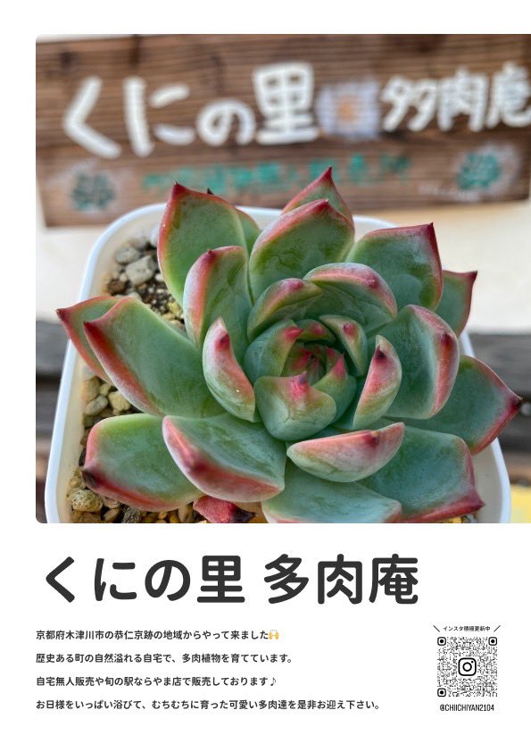 多肉植物自宅無人販売所