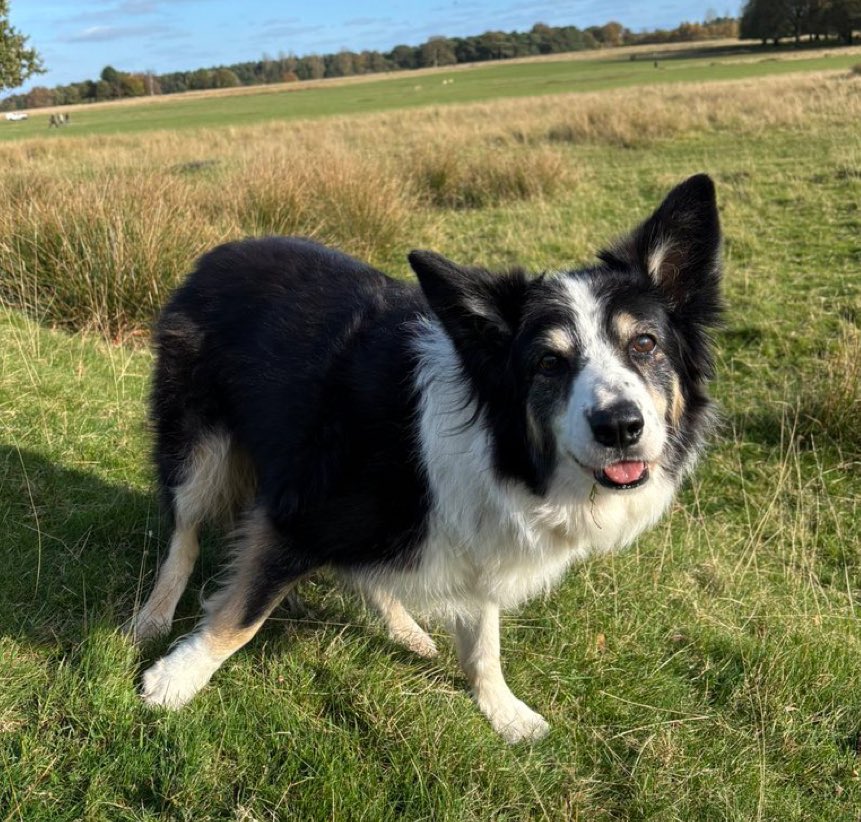 RCantaldo's tweet image. Do r forget these two ☺️