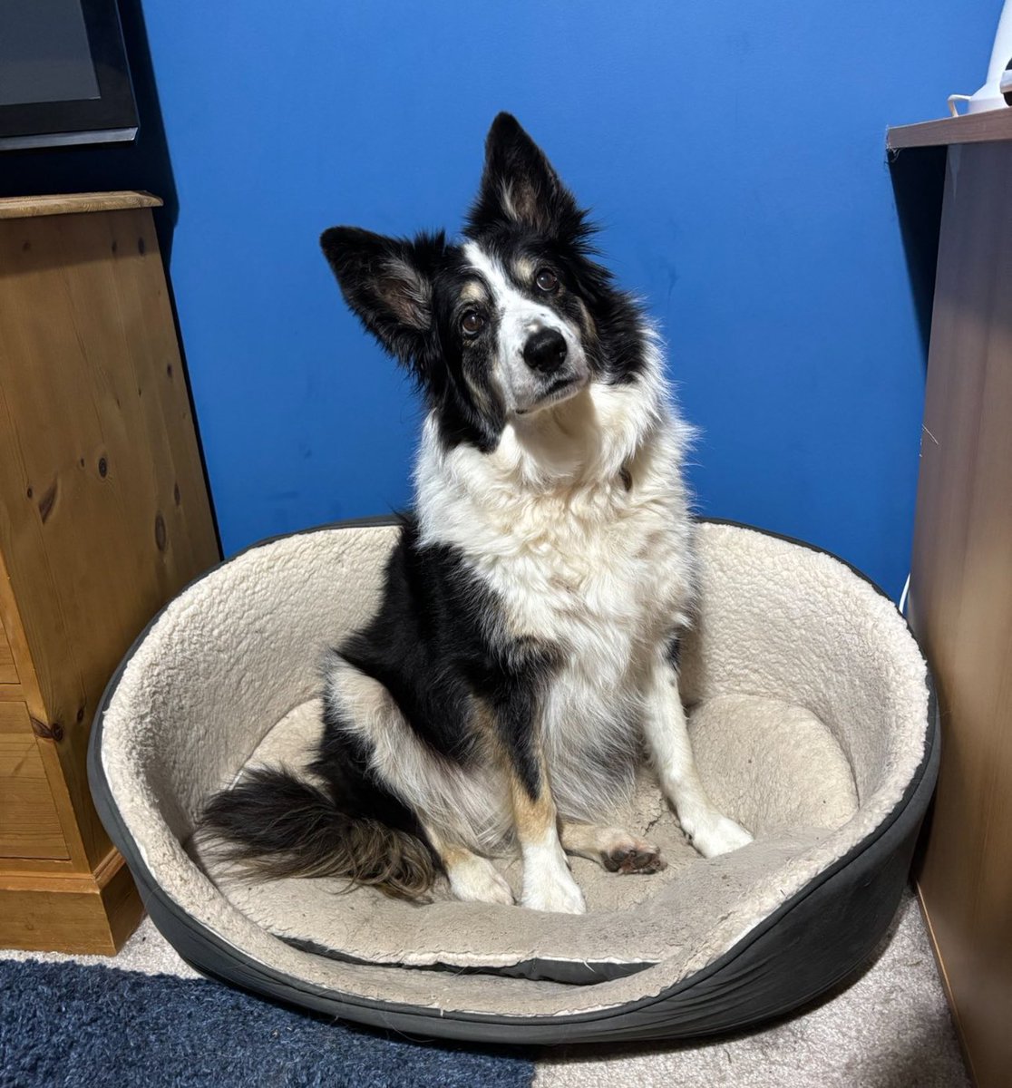 RCantaldo's tweet image. Do r forget these two ☺️