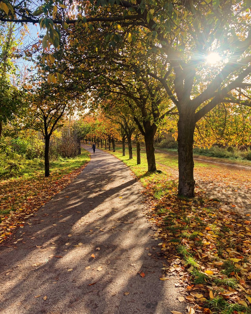 slowberlin's tweet image. Today was a beautiful day #berlin #mauerweg #walkingberlin