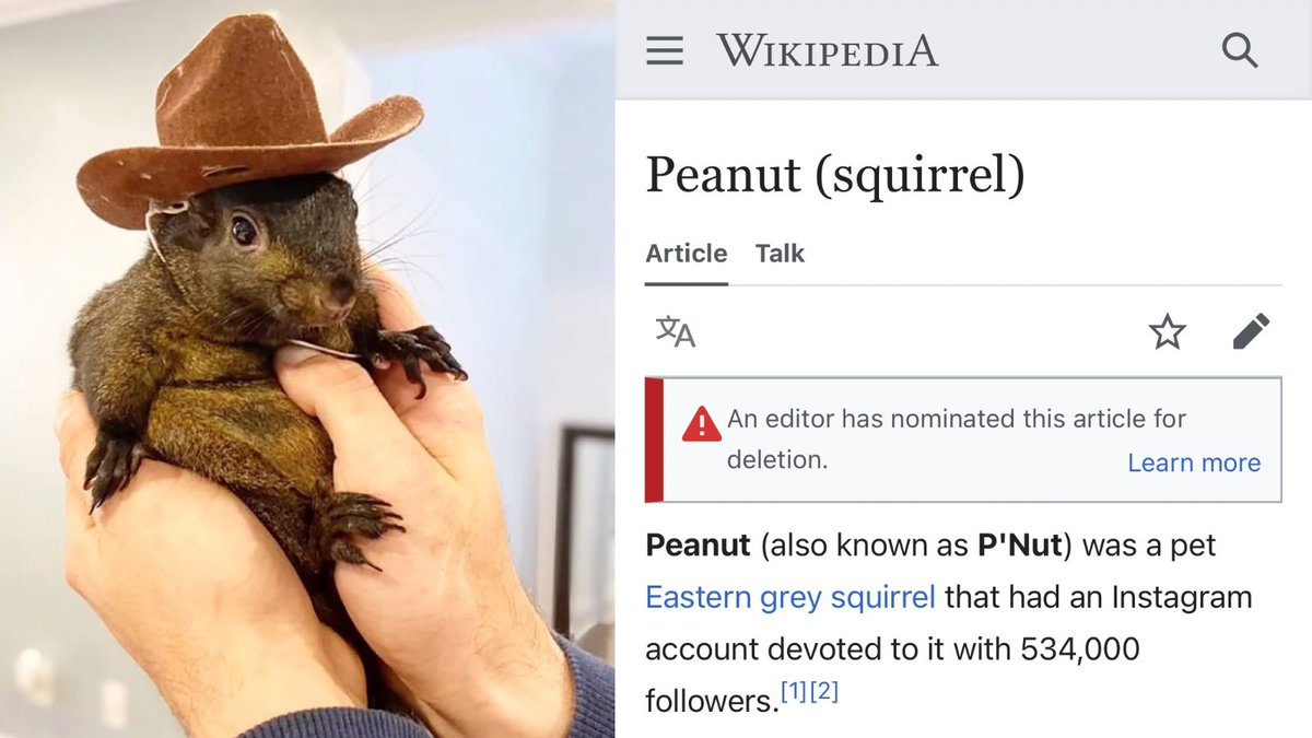 DEGEN NEWS tweet media