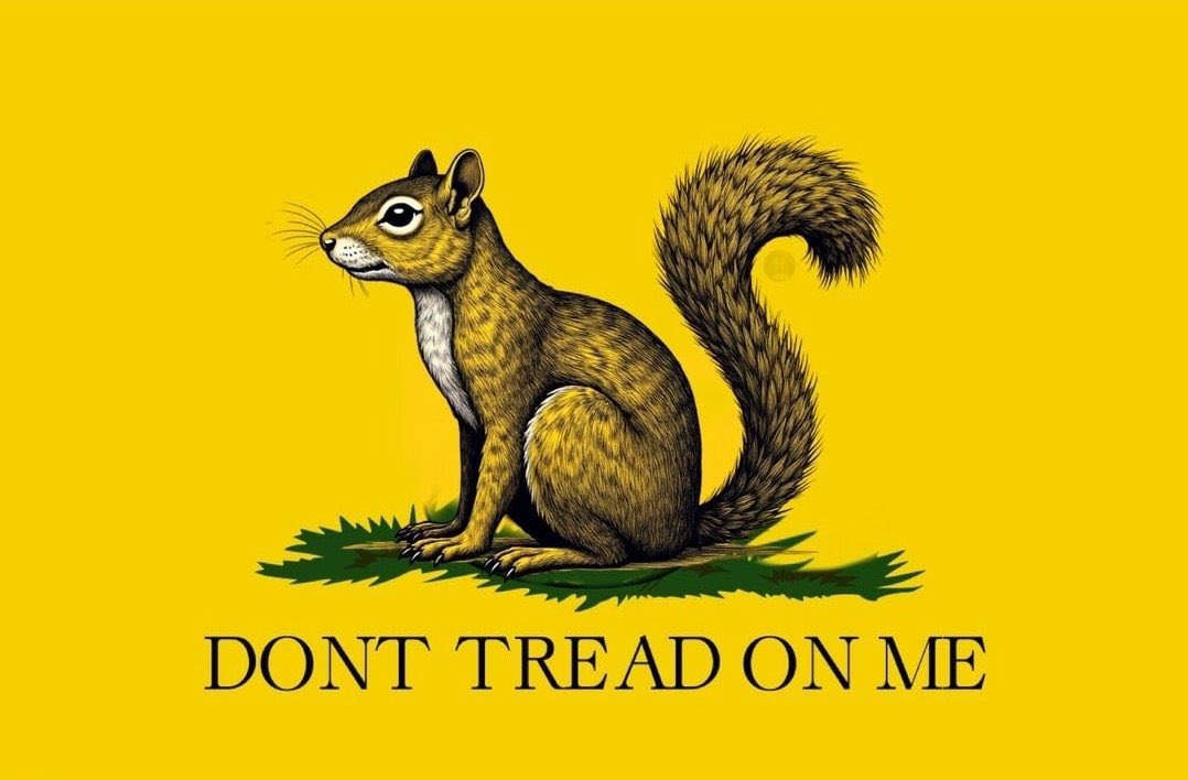 fallenleafdan's tweet image. 