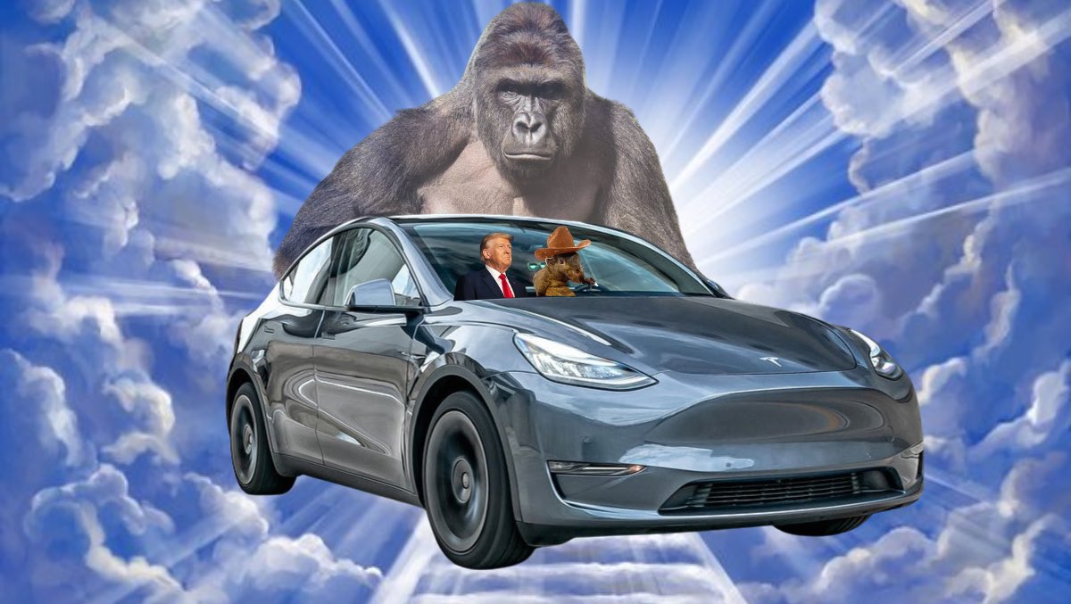 peanutbitcoin's tweet image. i may be gone, but i will never be forgotten 🐿️

i will live forever on the bitcoin blockain

living mi best life now. chilling with harambe in my @Tesla with @realDonaldTrump

PEANUT•THE•SQUIRREL is the ticker 🥜