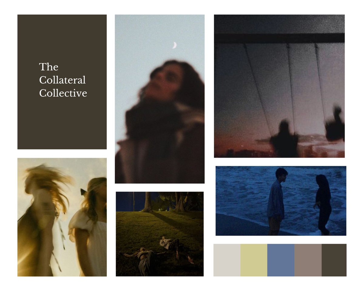 Brayden Mae is querying tweet media