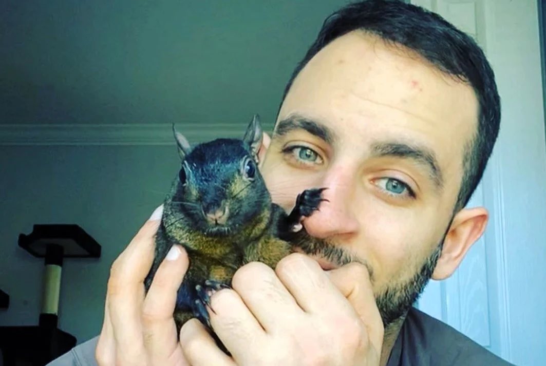onchainshirts's tweet photo. @gainzy222 RIP Peanut, may he never be forgotten 

Let me send you some free shirts @gainzy222 https://t.co/I1CTSoVPtv